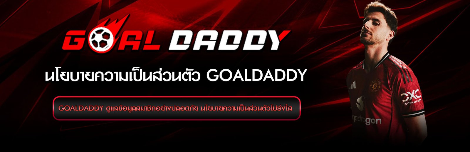 privacy policy GoalDaddy